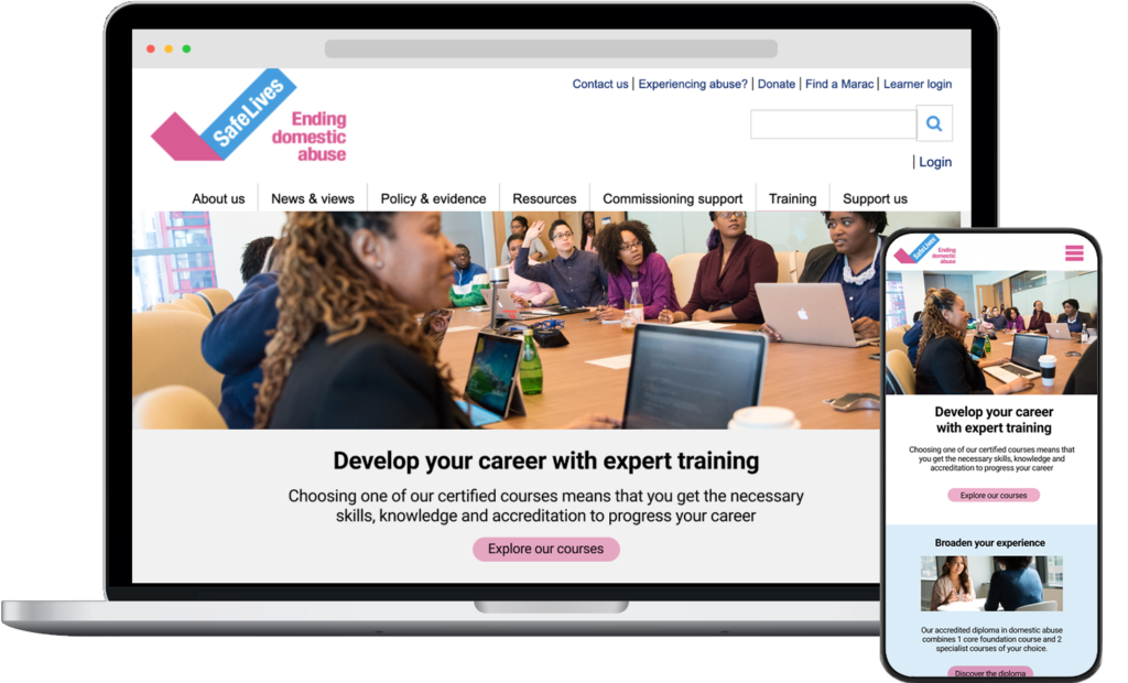 SafeLives Project Preview