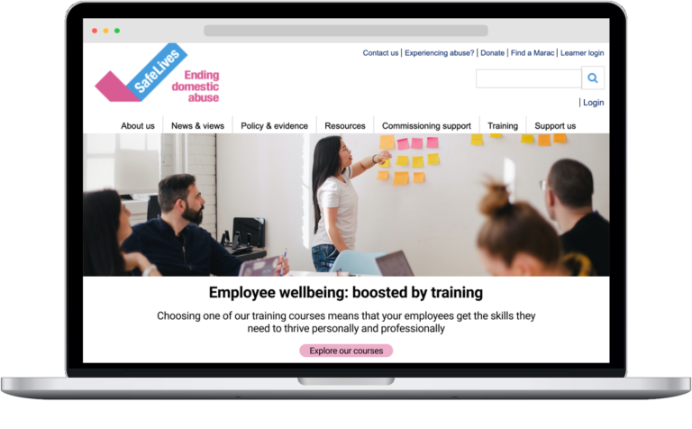 SafeLives desktop project preview