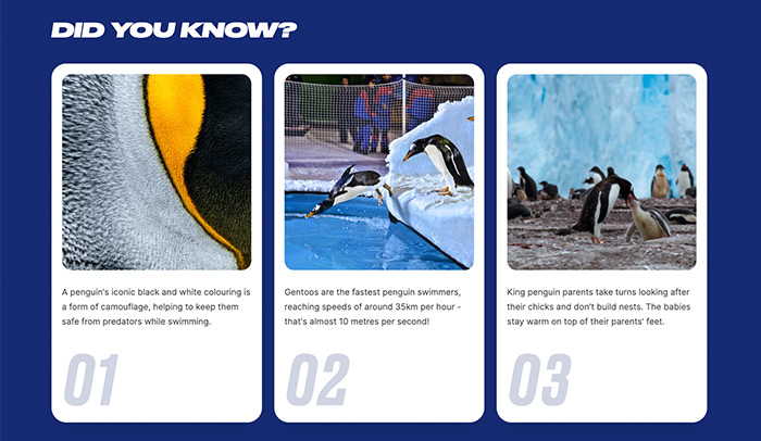 New penguins